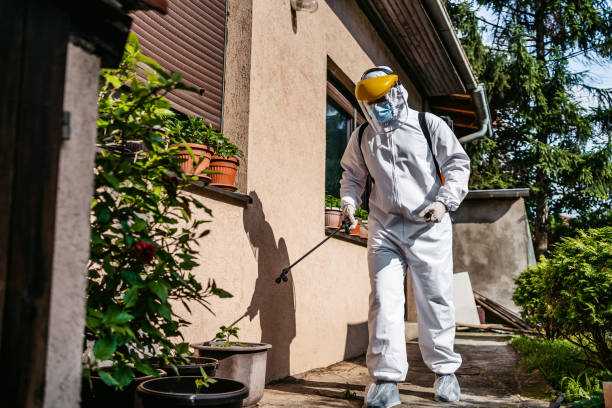 Best Pest Removal Services  in Jackson, SC