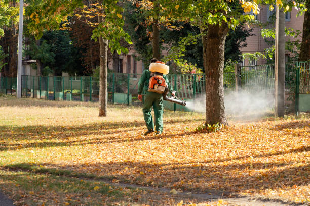 Pest Prevention Services in Jackson, SC